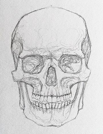 New Tutorial: How to Draw a Skull | Study Drawing